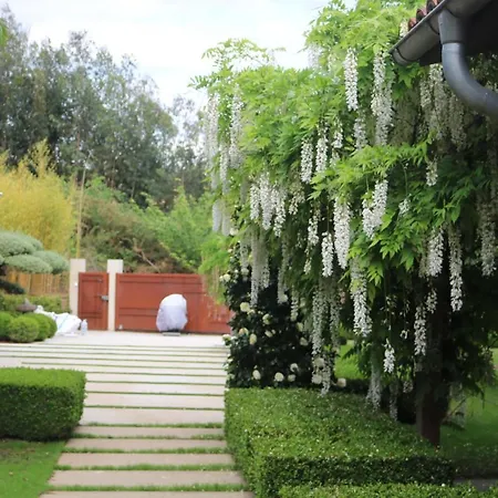 Holiday home Finca Pousadoira *